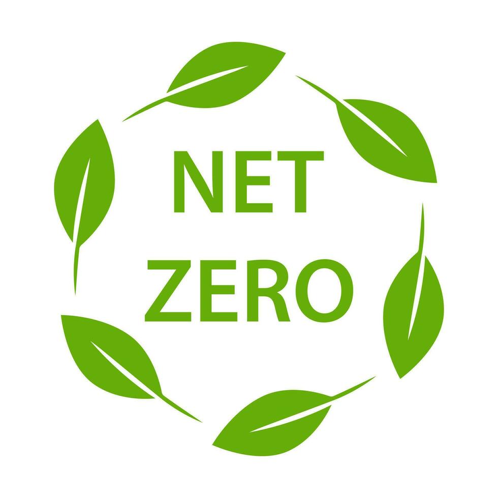 Net Zero and You