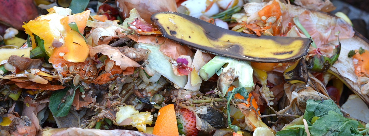 Dealing with food waste