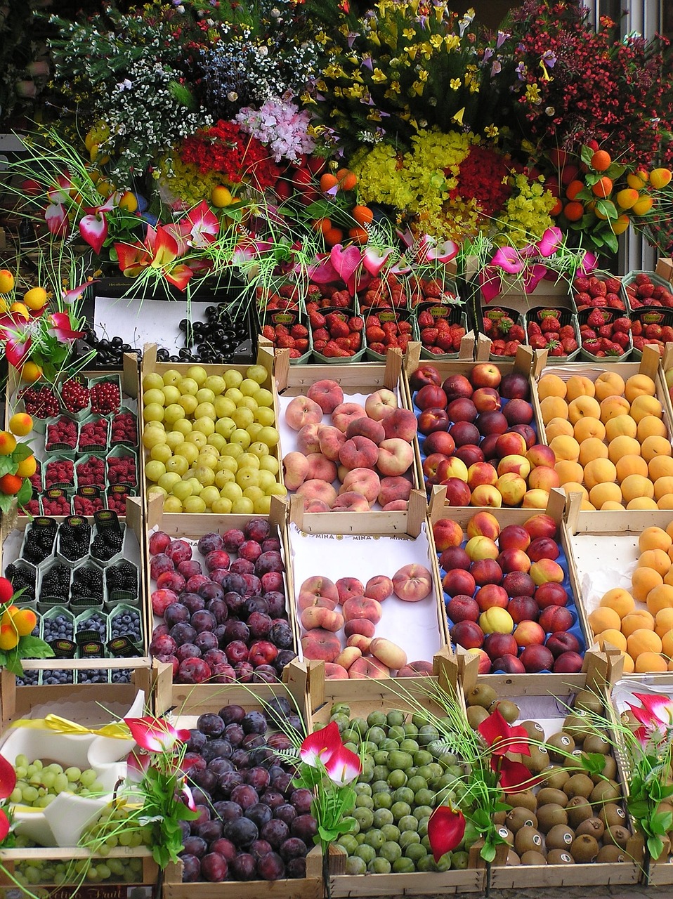 Eat seasonally to reduce carbon footprint