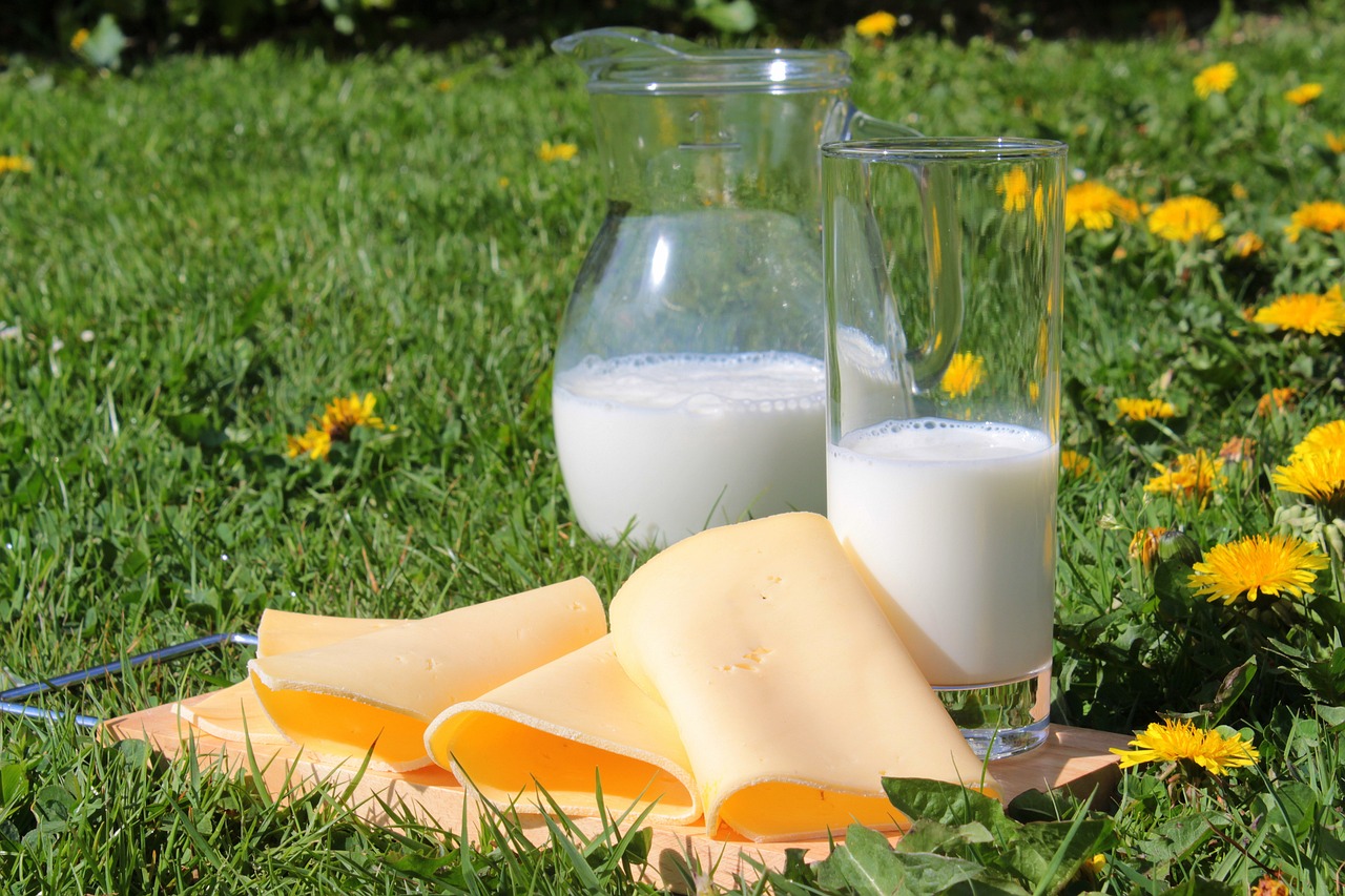 How to cut dairy from your diet
