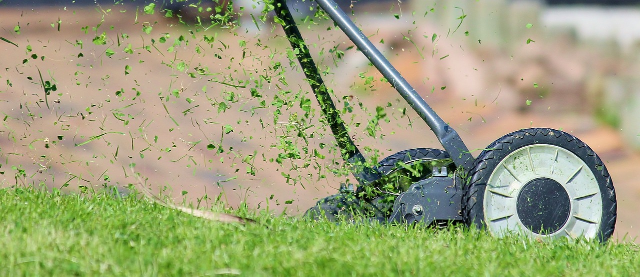 How your lawn can boost biodiversity