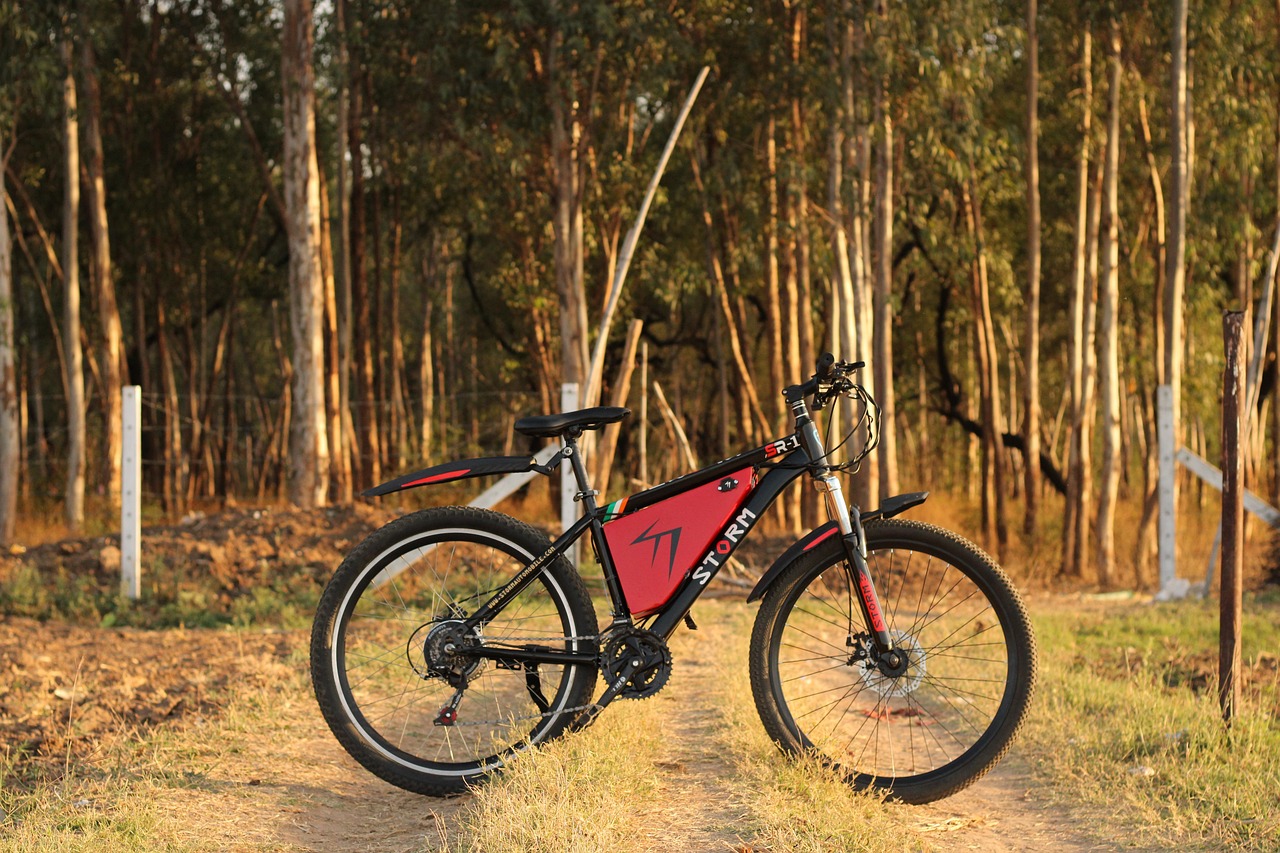 Low carbon transport: electric bikes