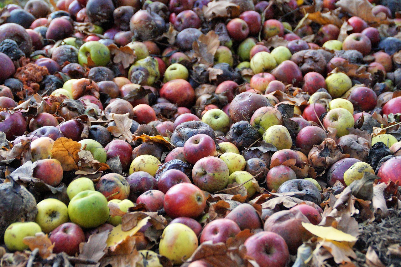 Six ways to reduce food waste