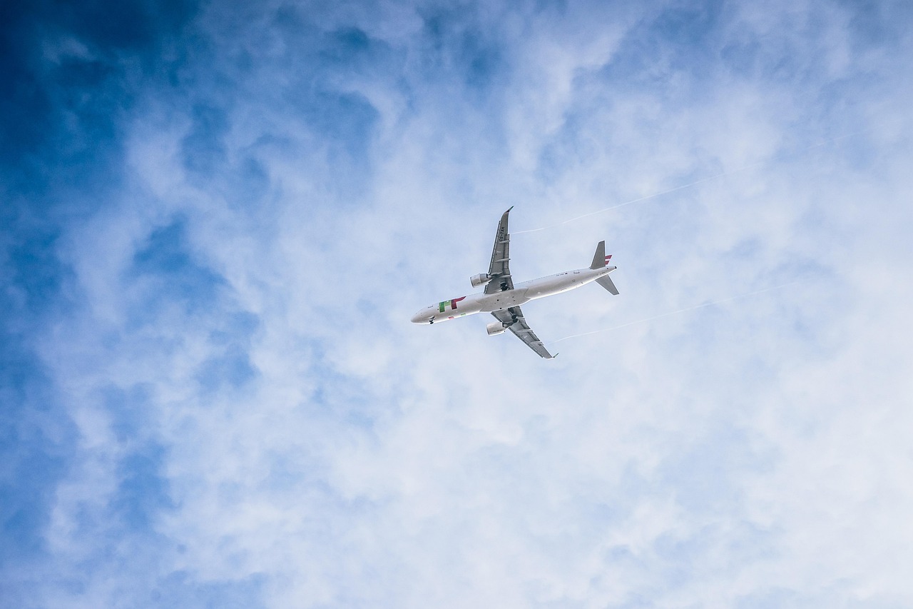 Does Net Zero mean we will not be flying abroad in the future?