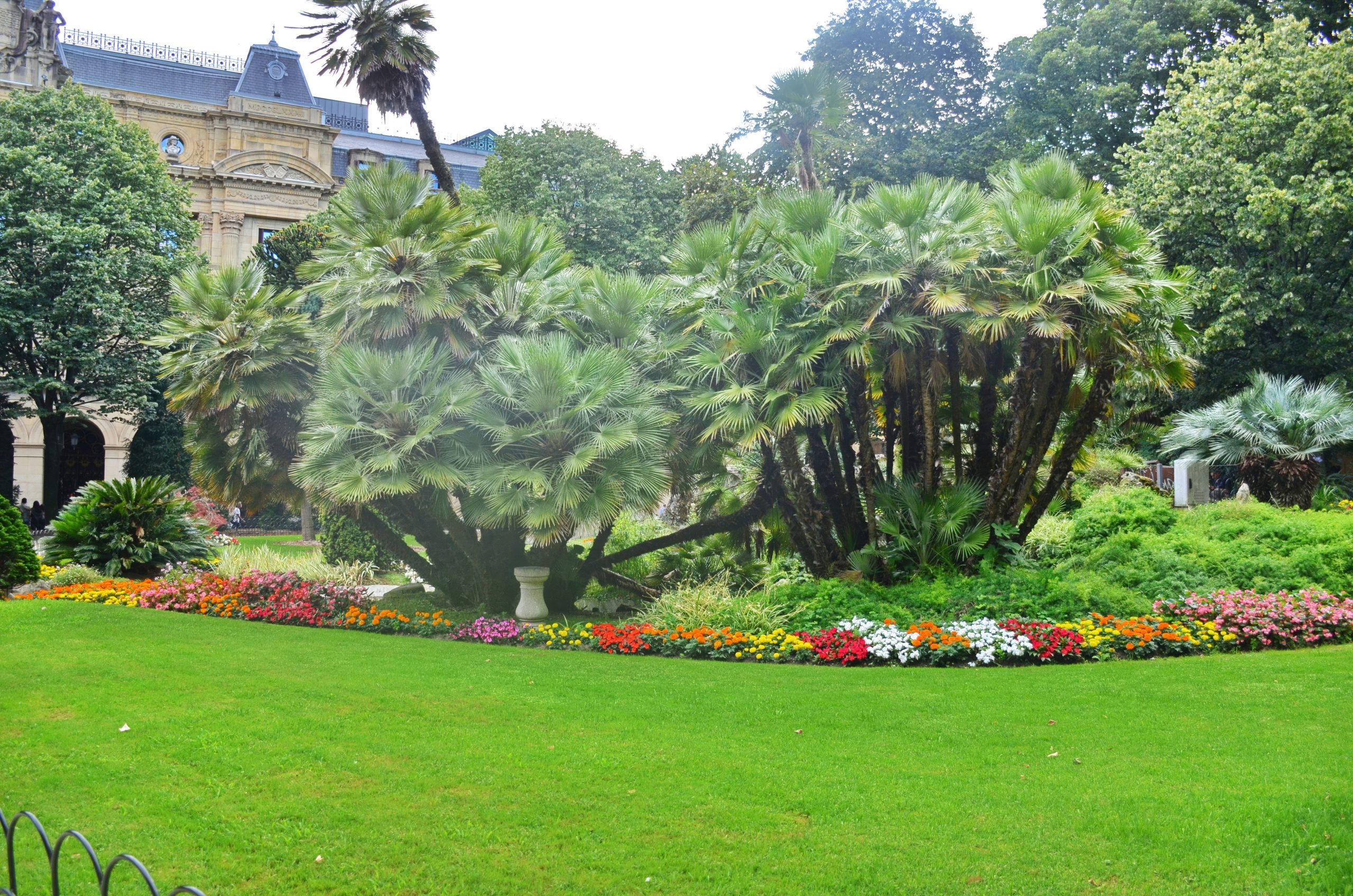 Make your life easy with ‘no-mow’ lawns